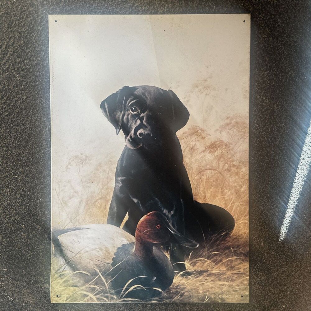 Original Tin Print From Lynn Kaatz Titled Pair of Kings Dog/Duck Wadsworth Ohio